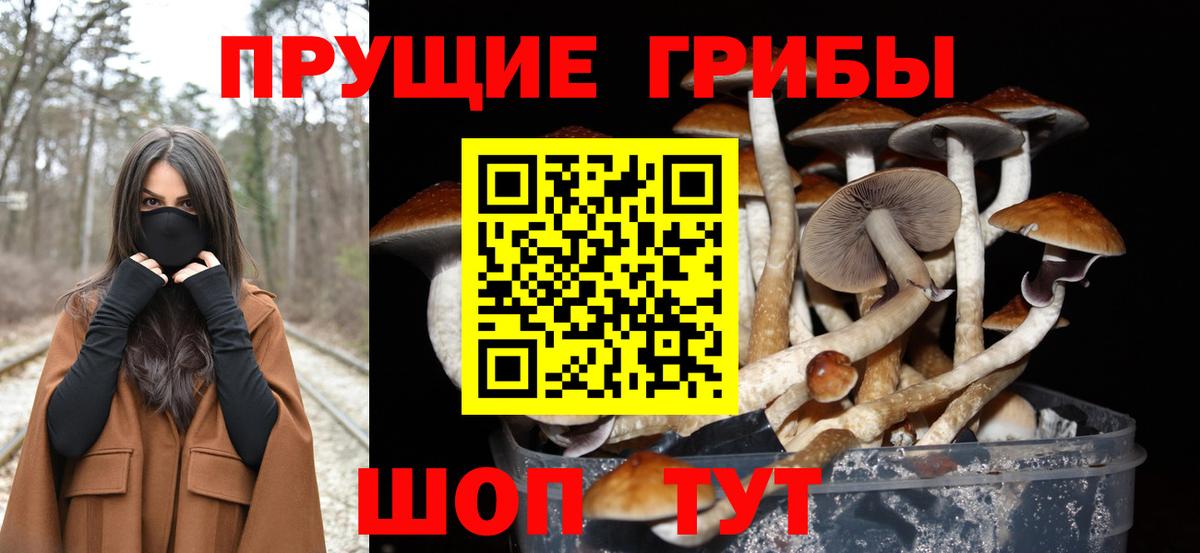 Псилоцибиновые грибы прущие грибы  Вход с VPN  Азнакаево 