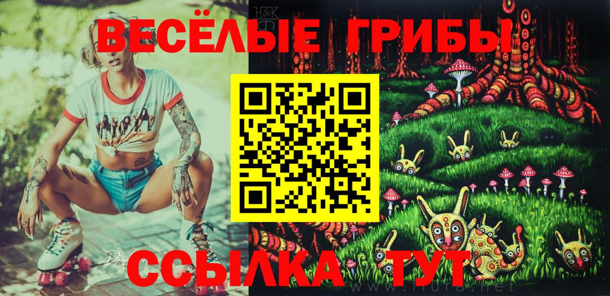 Галлюциногенные грибы MAGIC MUSHROOMS Азнакаево